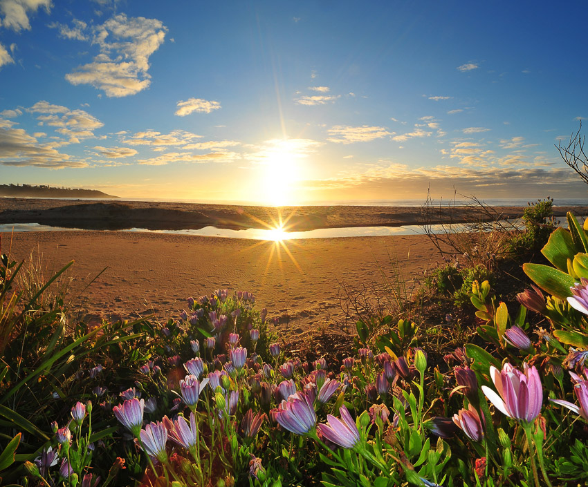 Mollymook Beach Sunrise Untitled_Panorama12 tif