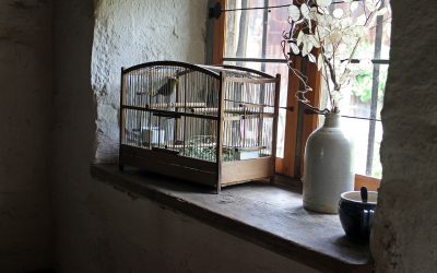 95: Bird in a Cage (3) – Return