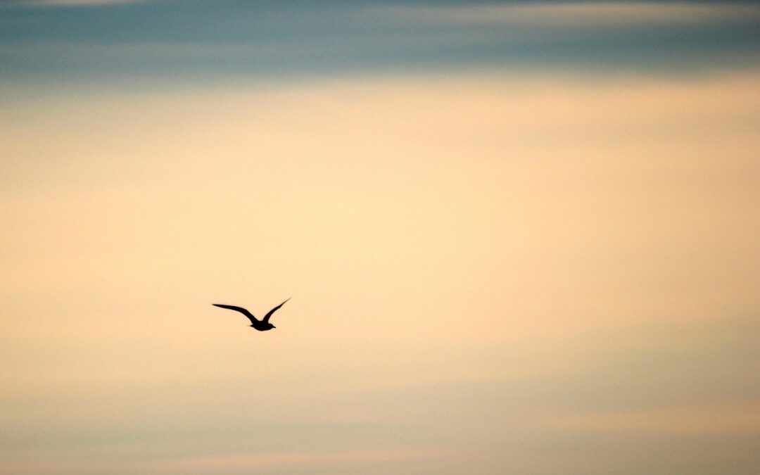 479: Cheerfulness and Gratitude in Aspiration