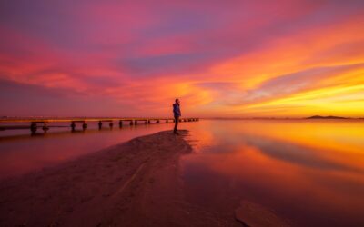 475: Gratitude, Compassion and Transformation
