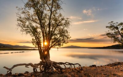 473: Gratitude, Receptivity and All Divine Qualities
