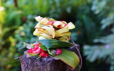 491: Receptivity and Gratitude