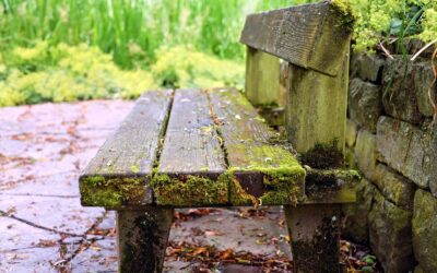 496: God’s Presence in all our Actions