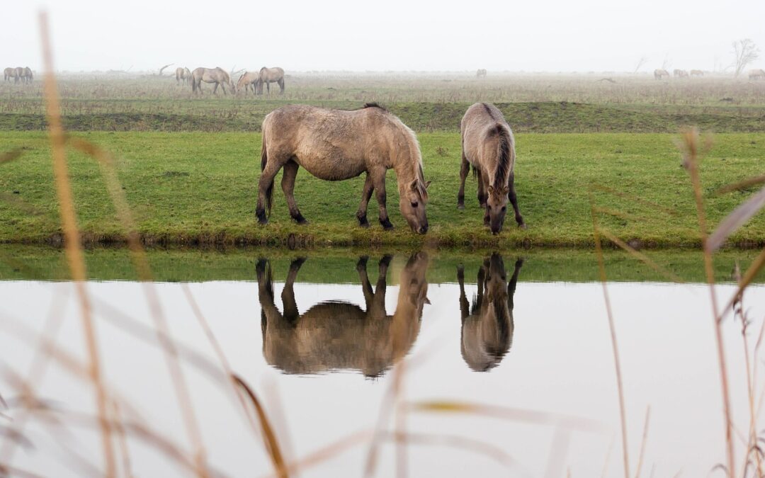 505: Look in the Mirror and Smile