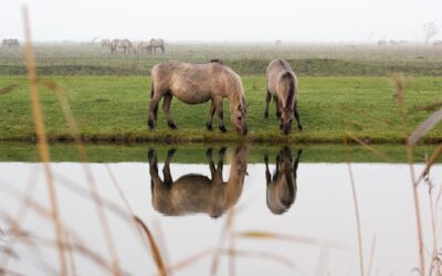 505: Look in the Mirror and Smile