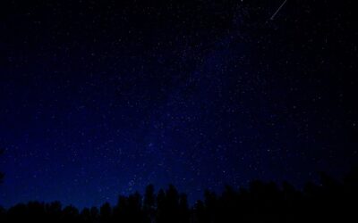 509: Why Early Morning Meditation is Best