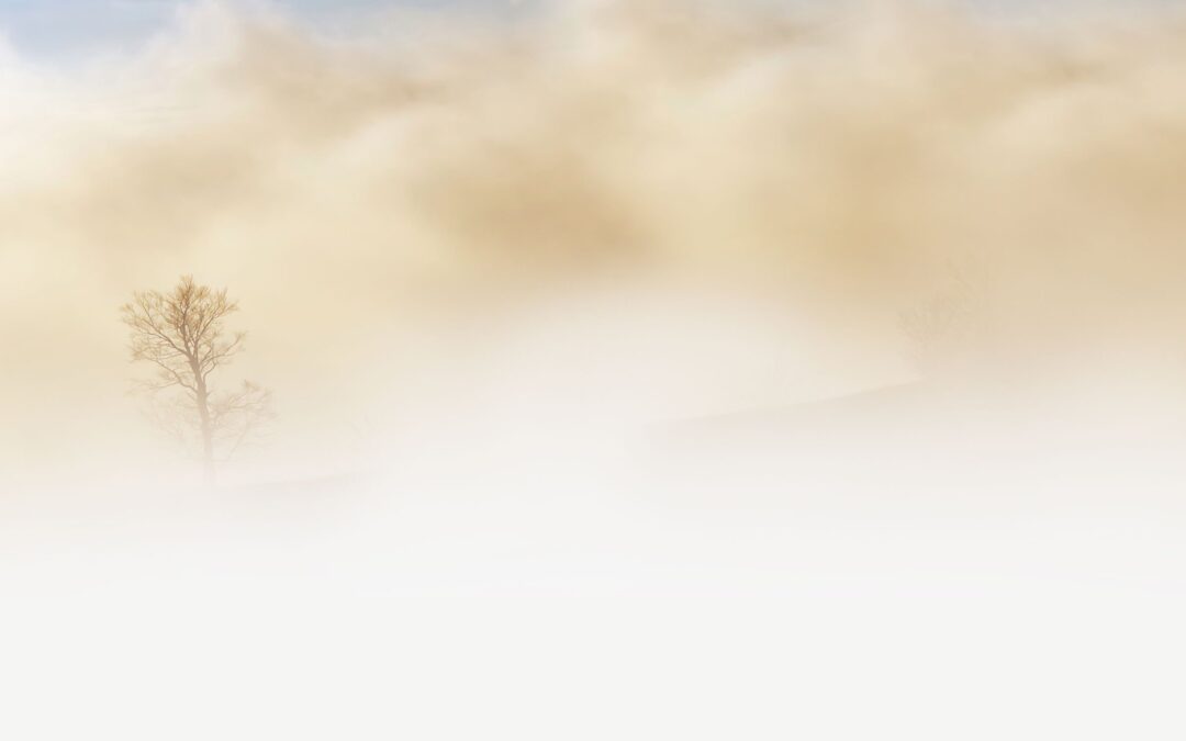 519: Meditation for a Turbulent Mind