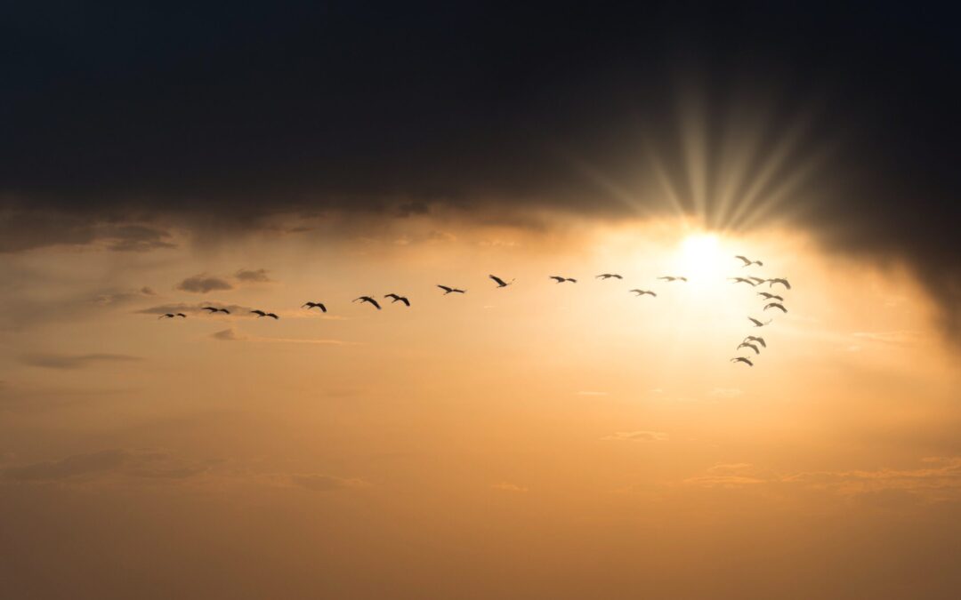 540: Mixing with Spiritual People (5)