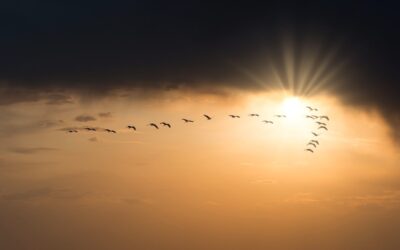 540: Mixing with Spiritual People (5)